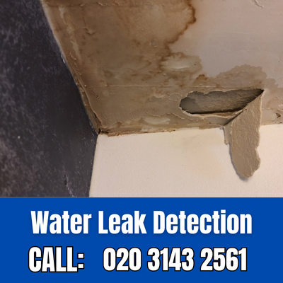 Expert Water Leak Detection Services in Lewisham | Lewisham Leak Detection